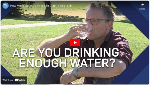 How Much Water Do You Need To Drink?