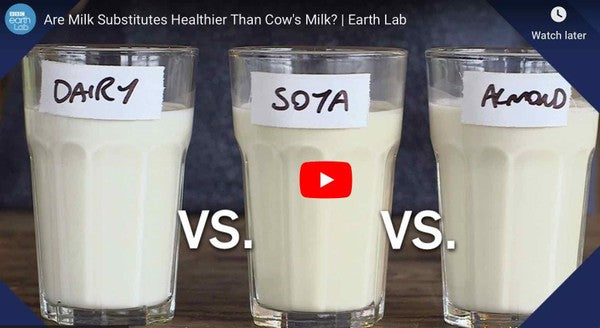 Are milk substitutes healthier than cow's milk?