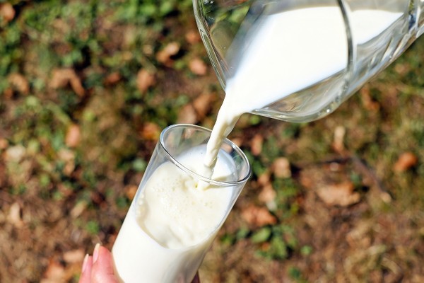 A Glass of Milk a Day Cuts Cholesterol and Heart Disease Risk