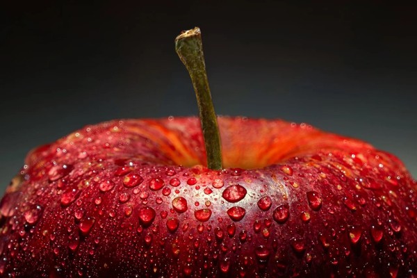 An Apple a Day: Exploring Nature's Nutritional Powerhouse