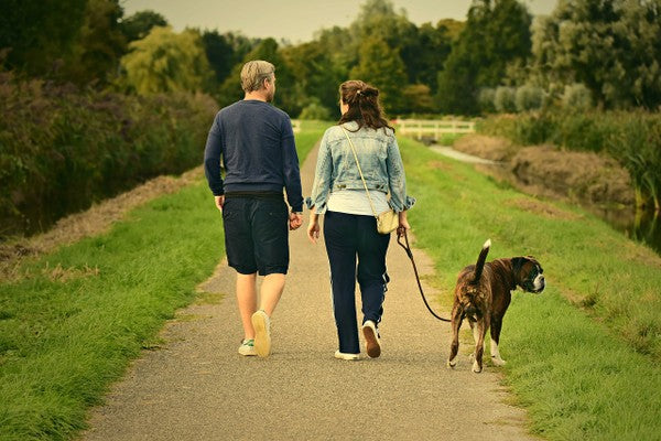 Unlocking the Power of Walking: The Remarkable Health Benefits of a 30-Minute Daily Stroll