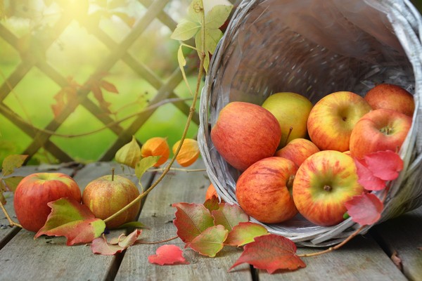 The Remarkable Health Secrets of Apples