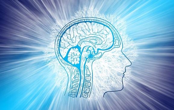 Lower Cholesterol Levels May Reduce Dementia Risk by 26%, Research Shows