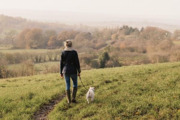 Is Sitting the New Smoking? What the Data Really Shows